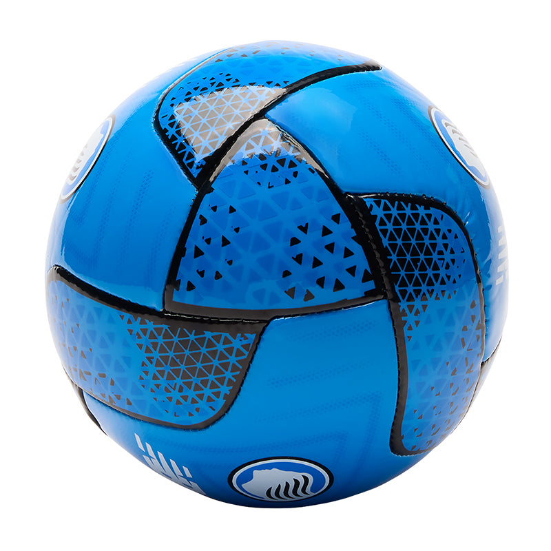 Minipallone Atalanta Geodesa training