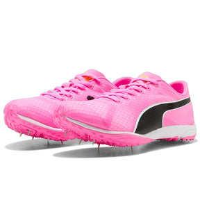 Scarpe Evospeed Haraka 8