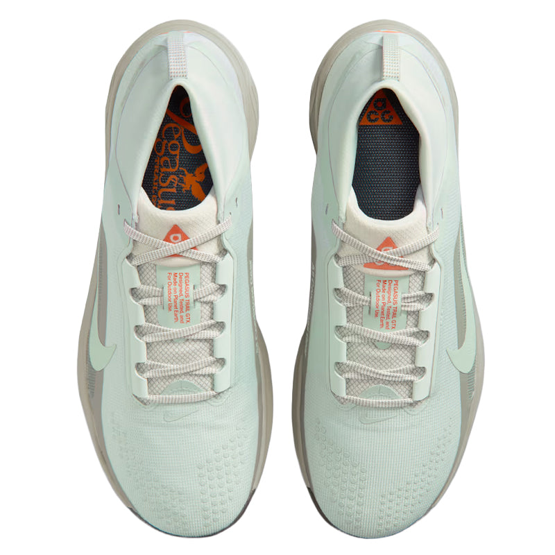 Scarpe uomo ACG Pegasus Trail GTX