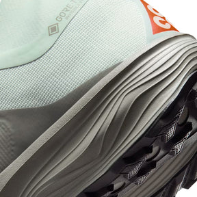 Scarpe uomo ACG Pegasus Trail GTX