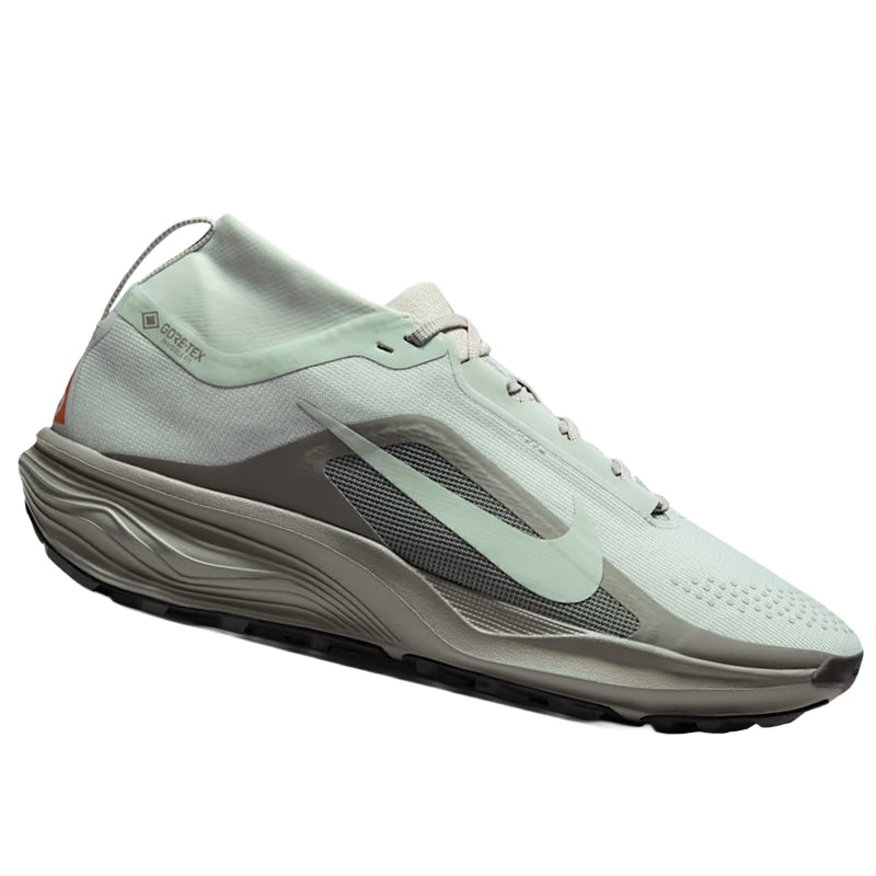 Scarpe uomo ACG Pegasus Trail GTX