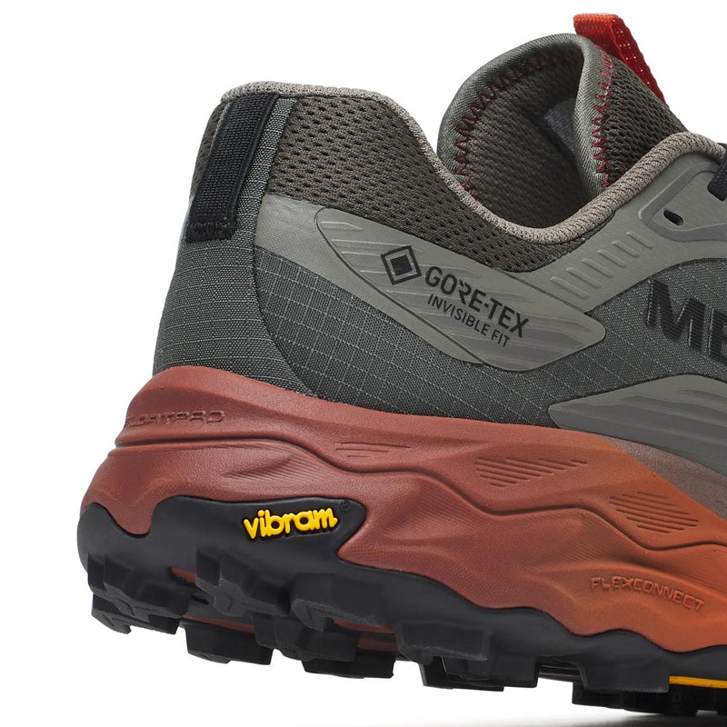 Scarpe uomo Agility Peak 6 GTX