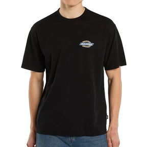 T-Shirt uomo Paradise