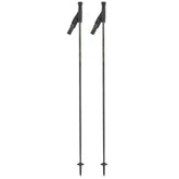 Bastoncini Piste Carbon