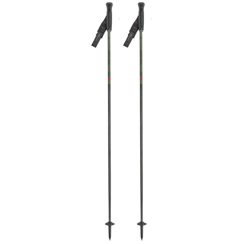 Bastoncini Piste Carbon