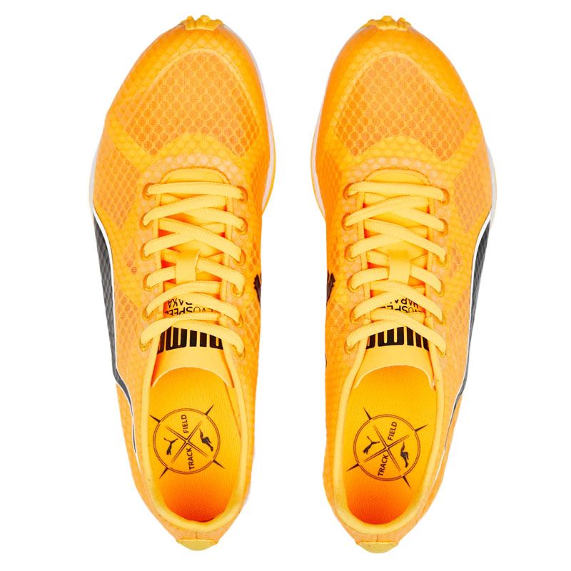 SCARPE UOMO EVOSPEED HARAKA 7