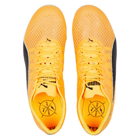 Scarpe EvoSpeed Distance 11
